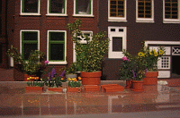 Diorama Amsterdam